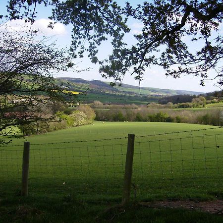 Highfield Bed & Breakfast Hay-On-Wye Dış mekan fotoğraf