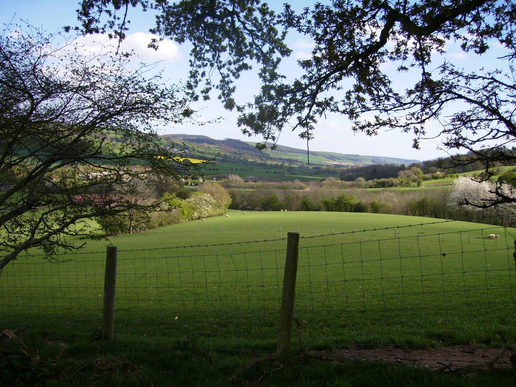 Highfield Bed & Breakfast Hay-On-Wye Dış mekan fotoğraf