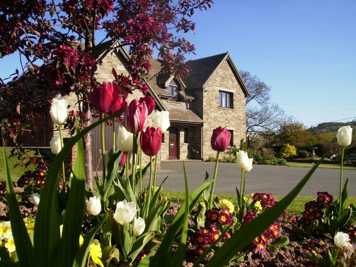 Highfield Bed & Breakfast Hay-On-Wye Dış mekan fotoğraf
