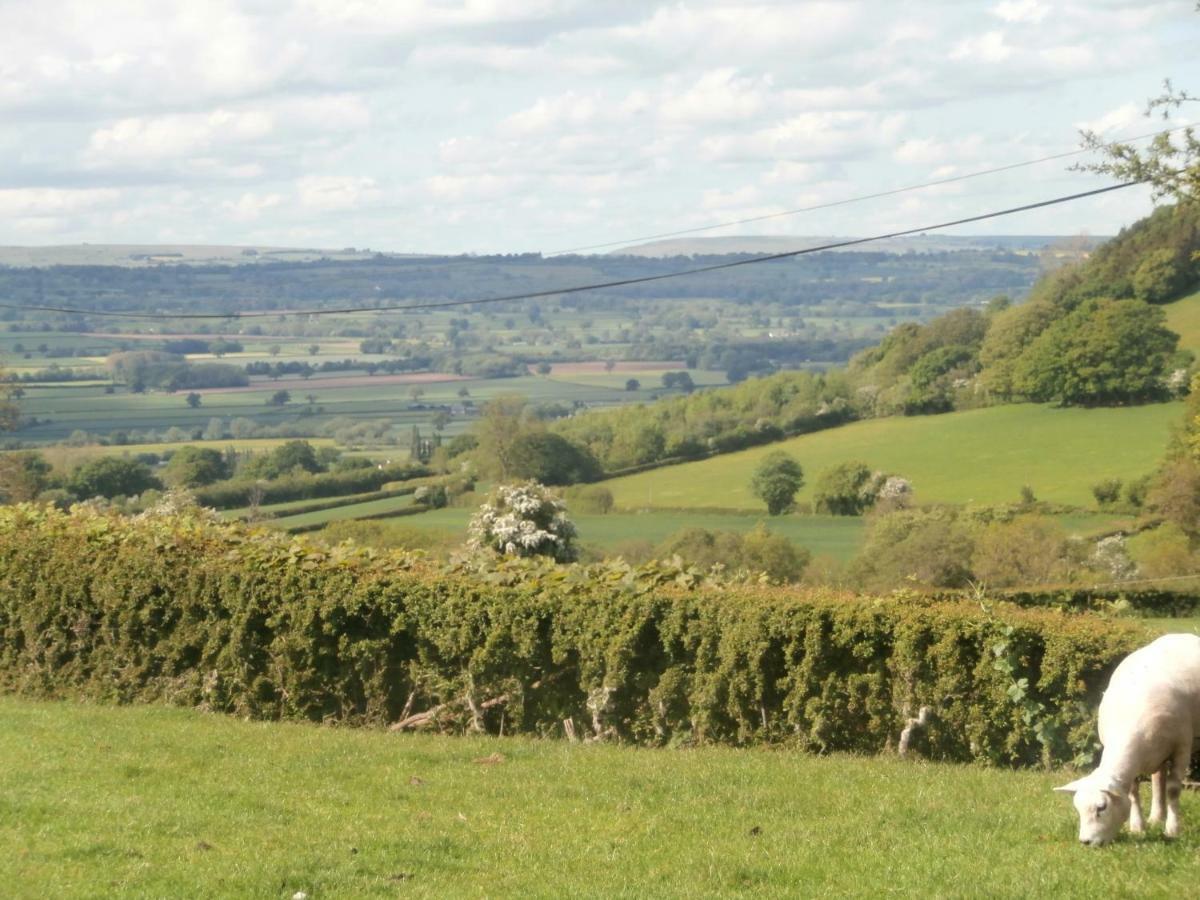 Highfield Bed & Breakfast Hay-On-Wye Dış mekan fotoğraf