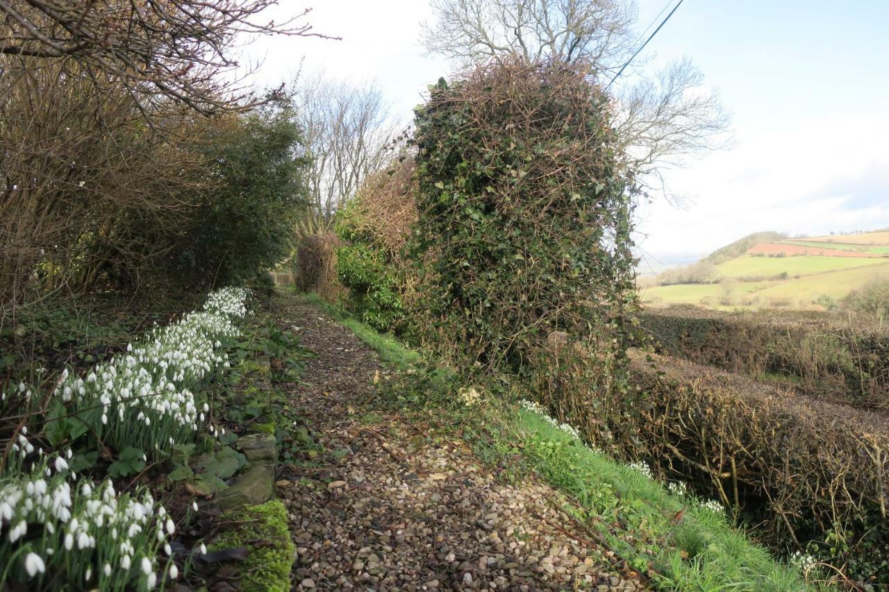 Highfield Bed & Breakfast Hay-On-Wye Dış mekan fotoğraf